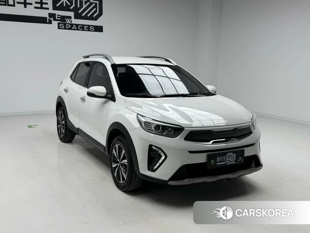 Kia Yi Ran id 4276095 из Китая 10