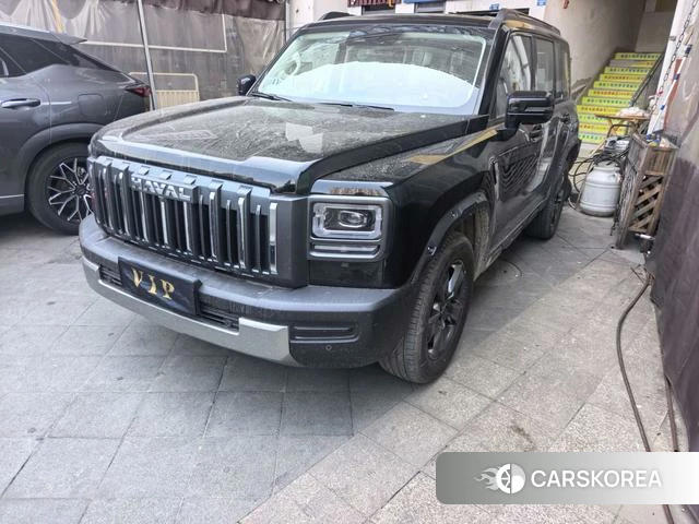 Haval Raptors Fuel Version 2026 Черный из Китая, фото 3