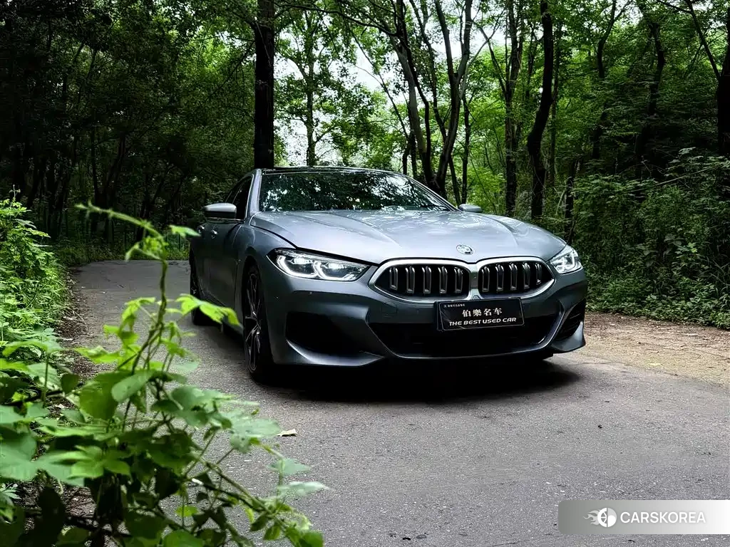 BMW 8 series id 4559624 из Китая 11