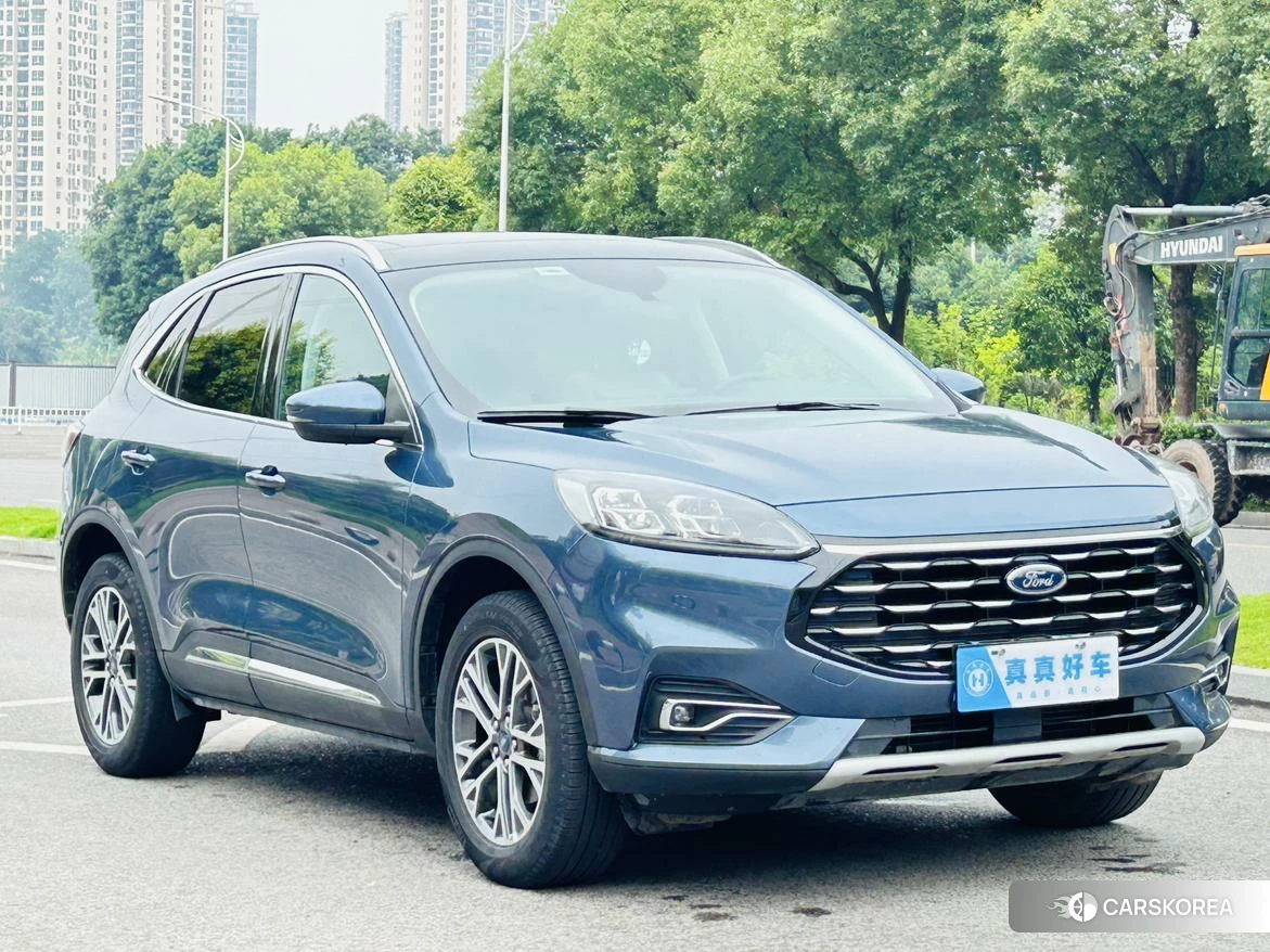 Ford Ruiji 2020 Синий из Китая, фото 5