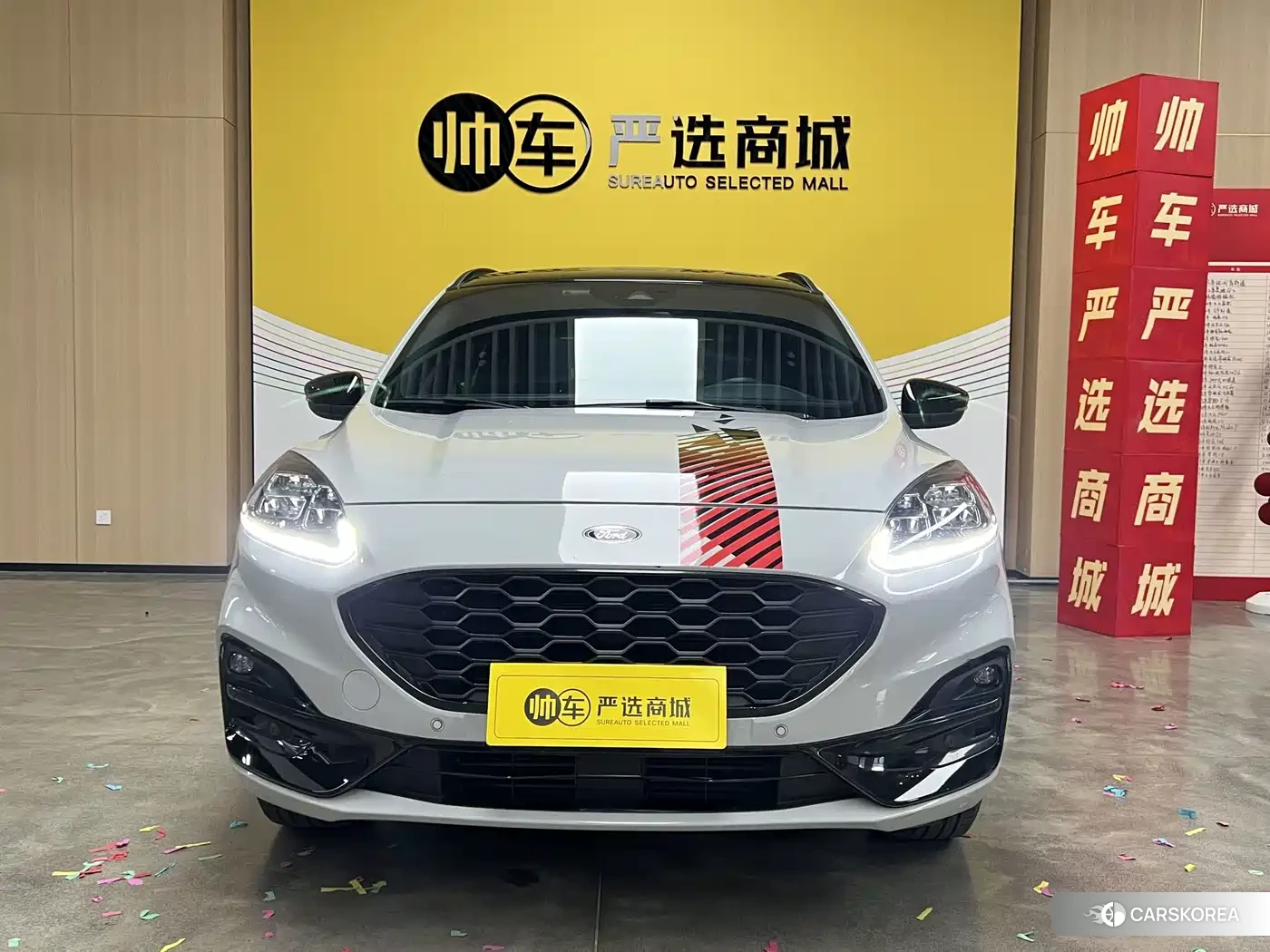 Ford Ruiji 2023 Белый из Китая, фото 4