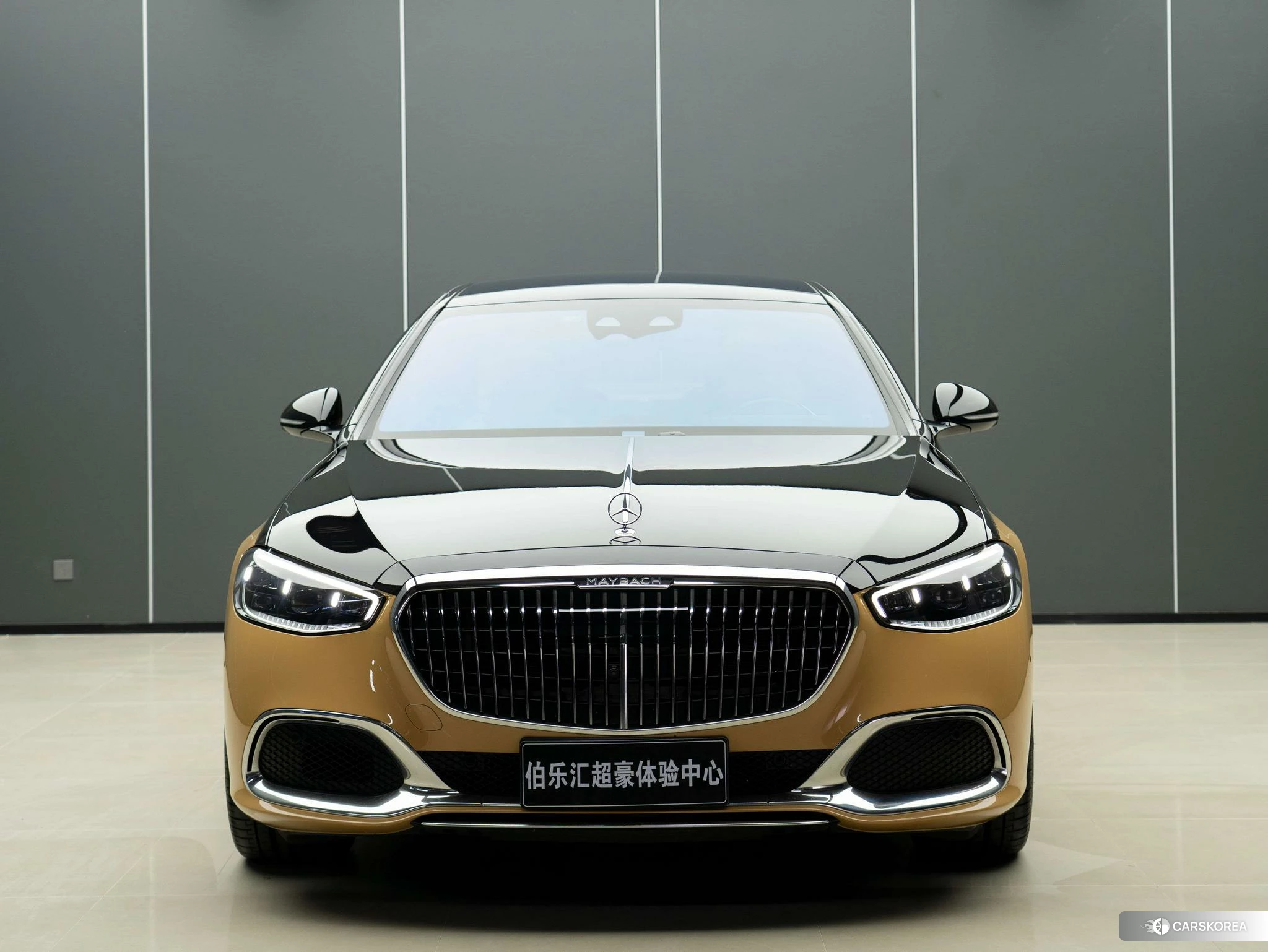 Mercedes-Benz Maybach S-class id 4440773 из Китая 23