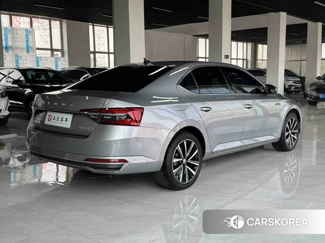 Skoda Speed pie id 3983465 из Китая 12