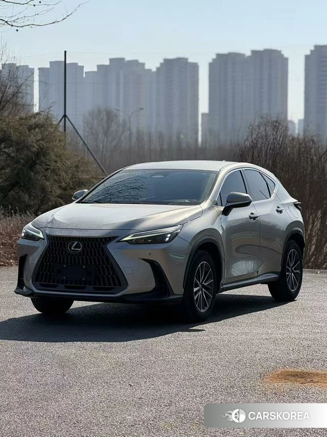 Lexus NX 2023 Темно-серый из Китая, фото 3