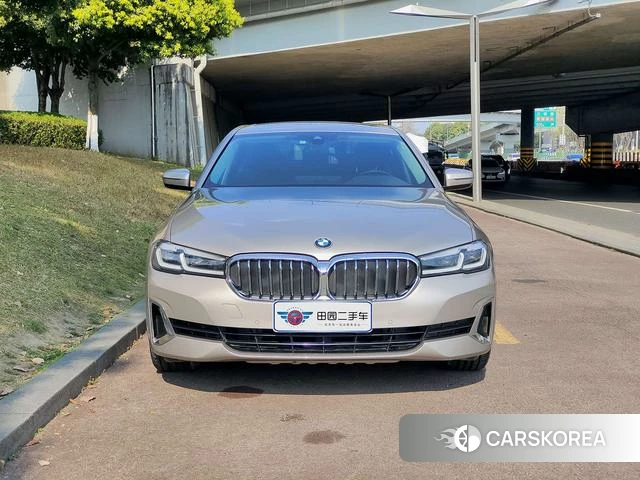 BMW 5 series 2021 Шампань из Китая, фото 4