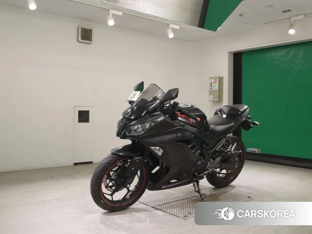 Kawasaki NINJA 250 id 3947292 из Японии 24