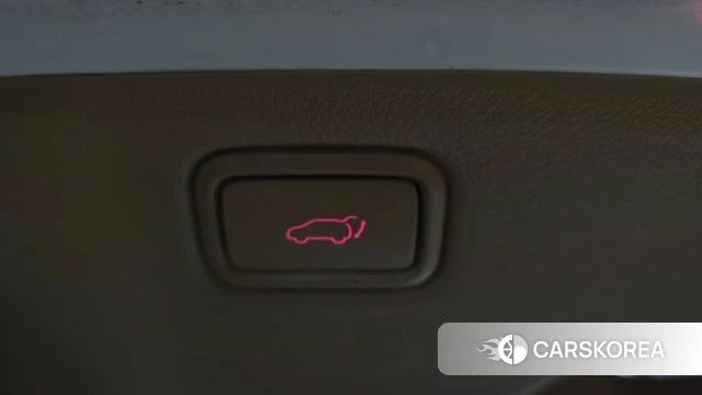 Kia The New Carnival id 4895616 из Кореи 24