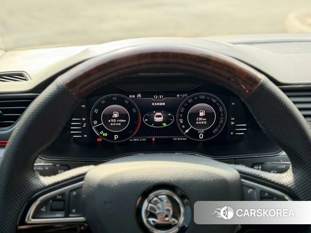 Skoda Speed pie id 4207761 из Китая 24