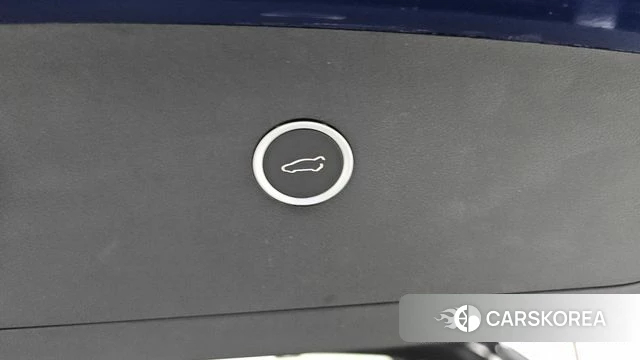 Tesla Model X id 4568401 из Кореи 24