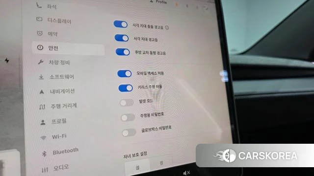 Tesla Model Y id 4748864 из Кореи 24