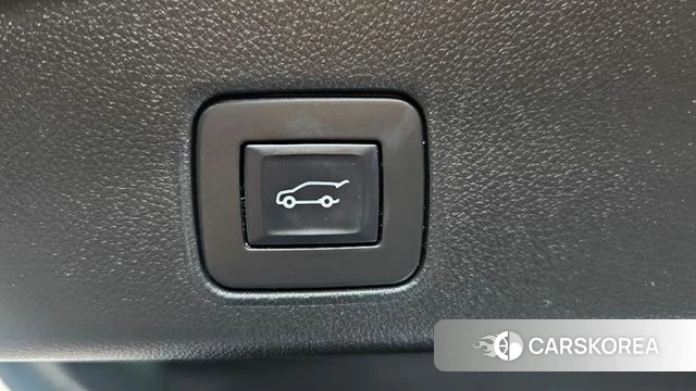 Chevrolet (GM Daewoo) Trailblazer id 4429050 из Кореи 24