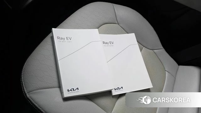 Kia The New Kia Ray EV id 4757626 из Кореи 24