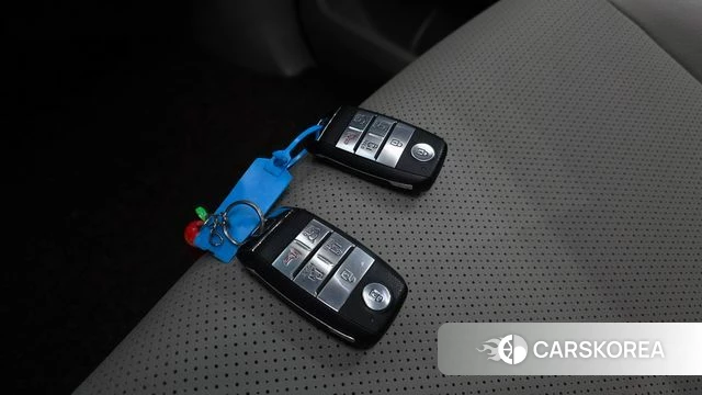 Kia The New Carnival id 4900687 из Кореи 24