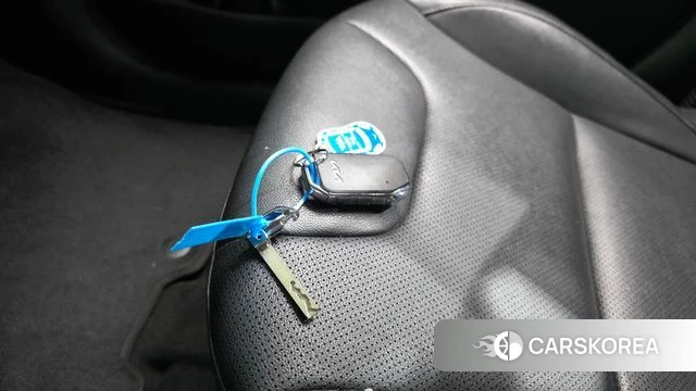 Kia Niro Plus id 4608546 из Кореи 24