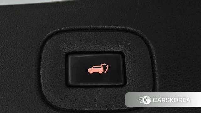 Renault Korea (Samsung) The New QM6 id 4619612 из Кореи 24