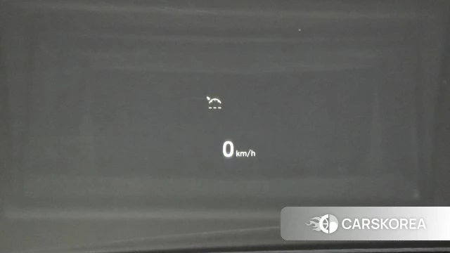 Genesis G90 id 4519707 из Кореи 24