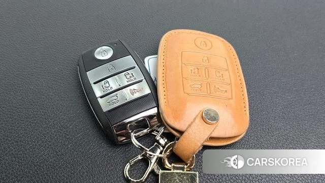 Kia The New Carnival id 4703481 из Кореи 24