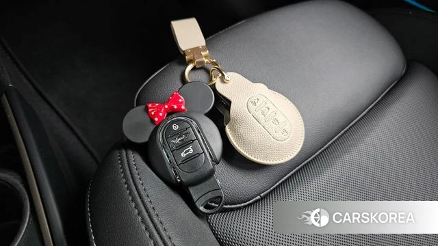 Mini Cooper Countryman id 4640387 из Кореи 24