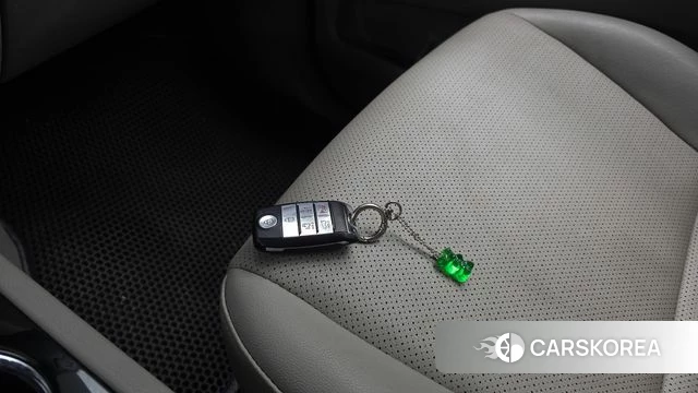 Kia The New Carnival id 4918540 из Кореи 24