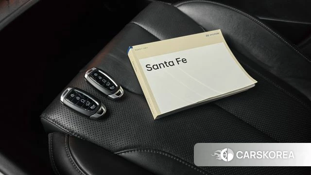 Hyundai Santa Fe TM id 4703209 из Кореи 24