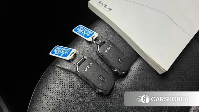 Kia Niro EV id 4793616 из Кореи 24