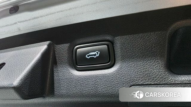 Hyundai Santa Fe TM id 4703514 из Кореи 24