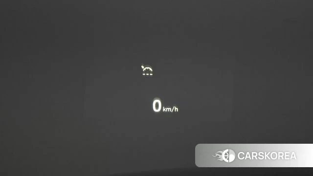 Genesis G90 id 4872992 из Кореи 24