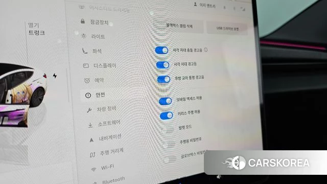 Tesla Model 3 id 4329336 из Кореи 24