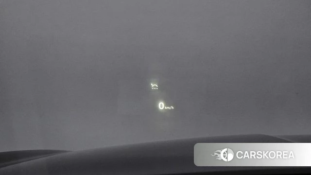 Genesis G90 id 4465310 из Кореи 24