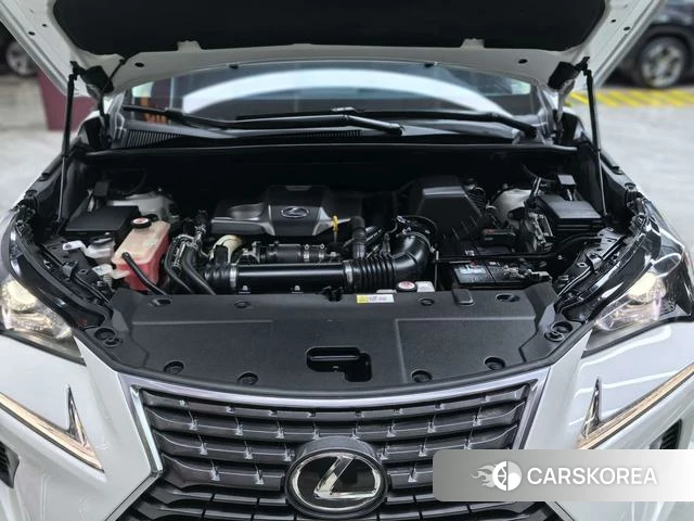 Lexus NX id 4221260 из Китая 24