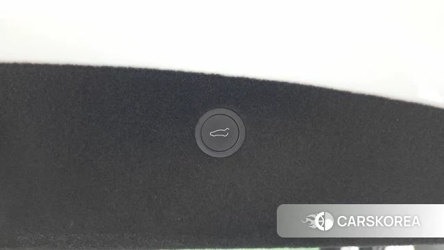 Tesla Model X id 4854338 из Кореи 24
