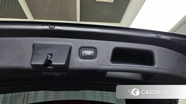 Hyundai Santa Fe TM id 4614829 из Кореи 24
