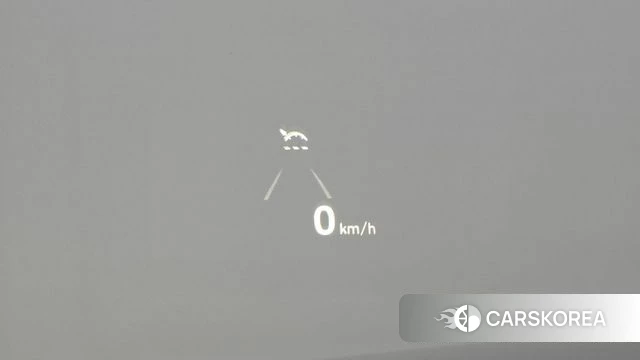 Genesis G90 id 4895205 из Кореи 24