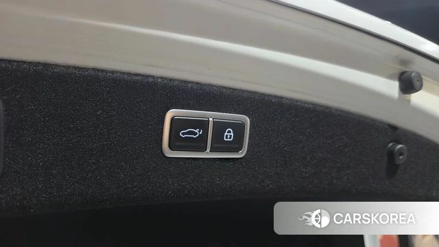 Genesis Electrified G80 (RG3) id 4444260 из Кореи 24