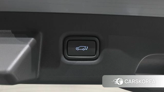 Hyundai Ionic 5 id 4720085 из Кореи 24