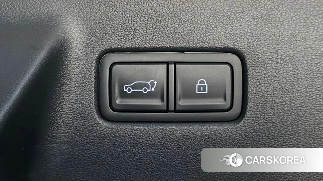Hyundai Santa Fe (MX5) id 4607711 из Кореи 24