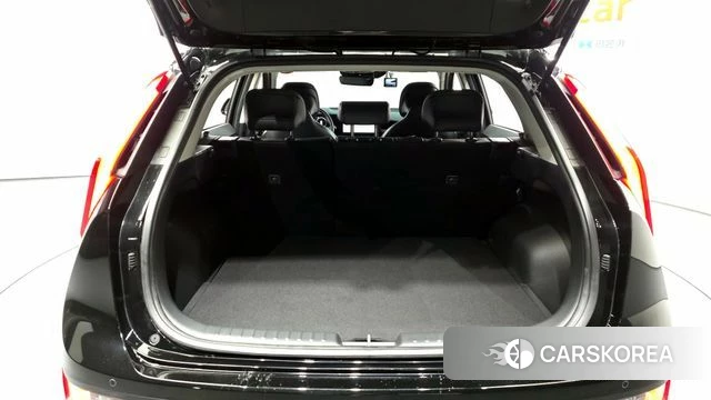 Kia Di All New Niro EV id 4292595 из Кореи 24