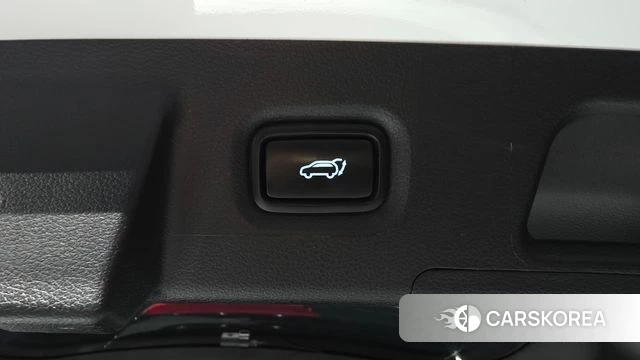 Hyundai The New Santa Fe id 4541969 из Кореи 24