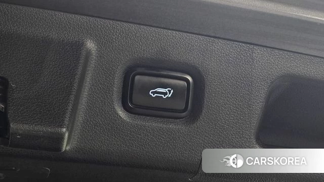 Hyundai Santa Fe TM id 4900457 из Кореи 24