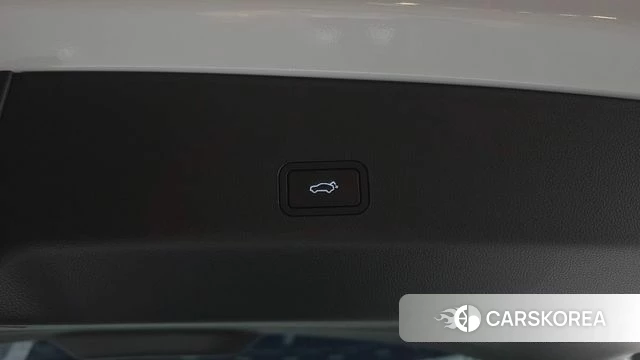 Renault Korea (Samsung) Grand Coleos id 4394308 из Кореи 24