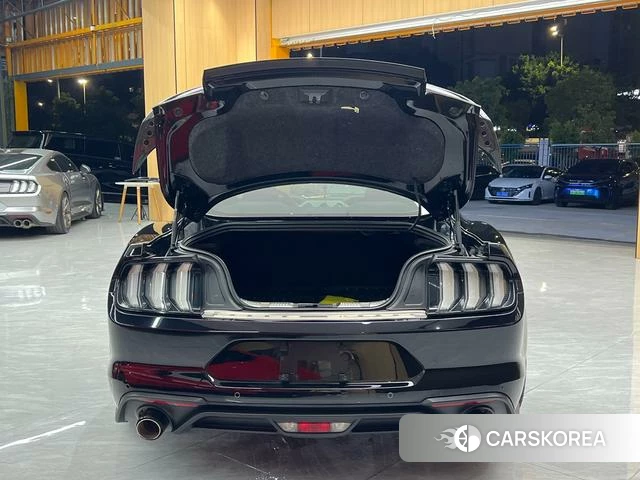 Ford Mustang id 4368397 из Китая 24