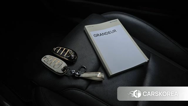 Hyundai The New Grandeur IG id 4625407 из Кореи 24