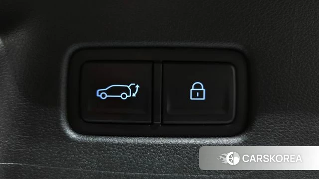 Hyundai Santa Fe (MX5) id 4456497 из Кореи 24