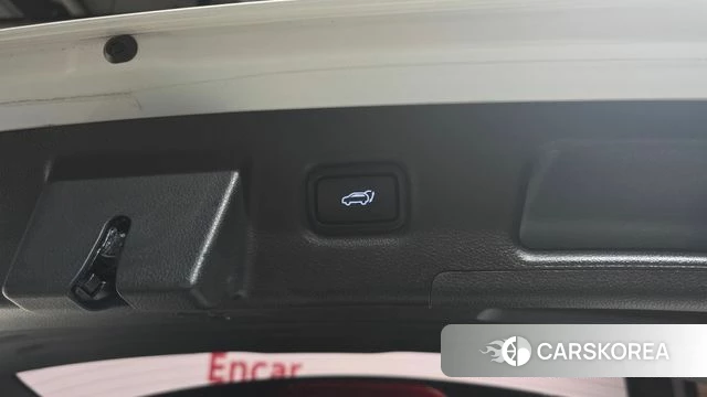 Hyundai Santa Fe TM id 4304868 из Кореи 24