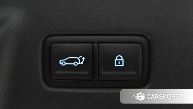 Hyundai Santa Fe (MX5) id 4394413 из Кореи 24