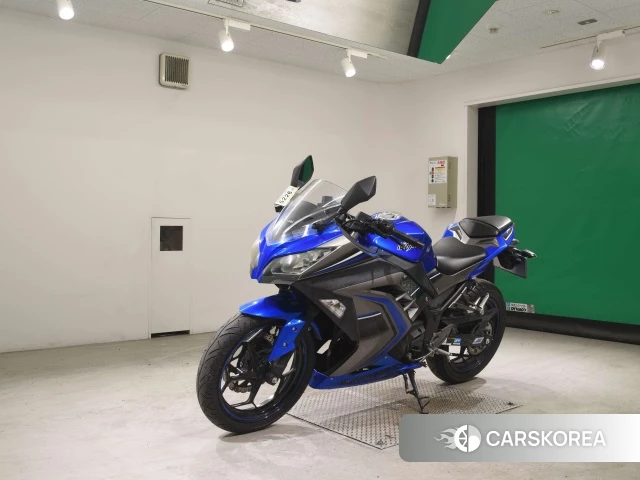 Kawasaki NINJA 250 ABS id 3947108 из Японии 24