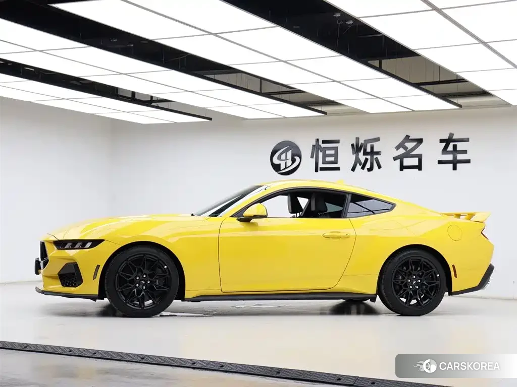 Ford Mustang id 4548180 из Китая 24