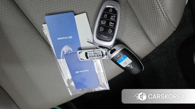 Hyundai Ionic 5 id 4395951 из Кореи 24
