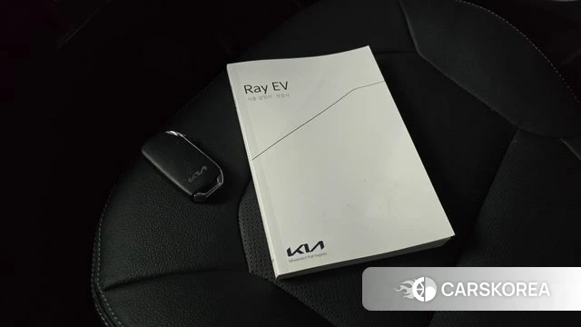 Kia The New Kia Ray EV id 4528227 из Кореи 24