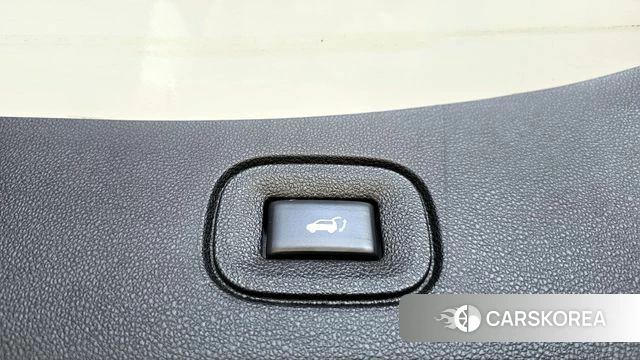 Renault Korea (Samsung) The New QM6 id 4323896 из Кореи 24